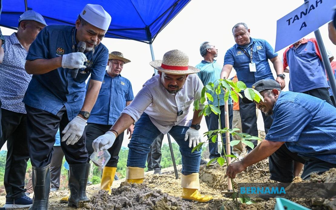 RISDA saran pemilik tanah sertai tanaman semula getah berkelompok